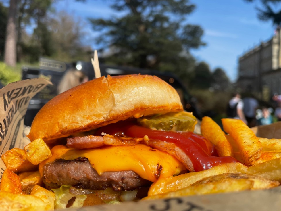 Burger and Chips in High Laver