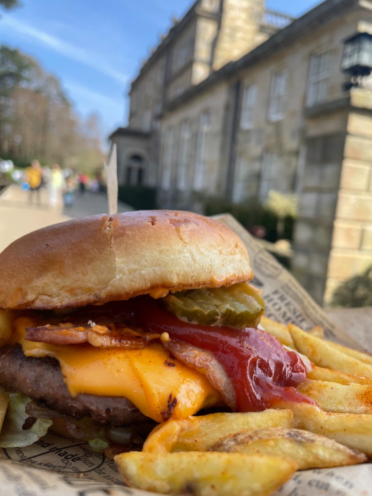 Burger and Chips in Alphamstone
